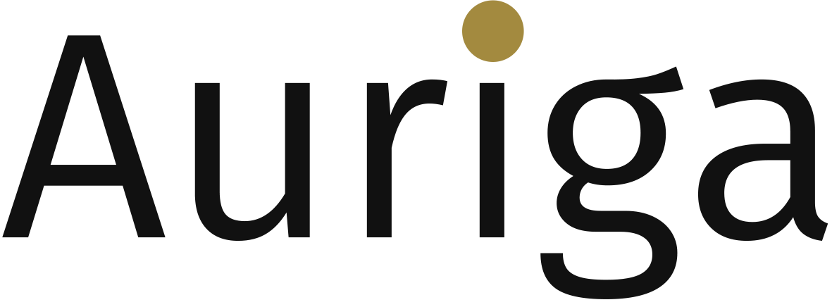 Auriga Studio